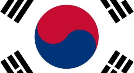Bandiera Corea del Sud